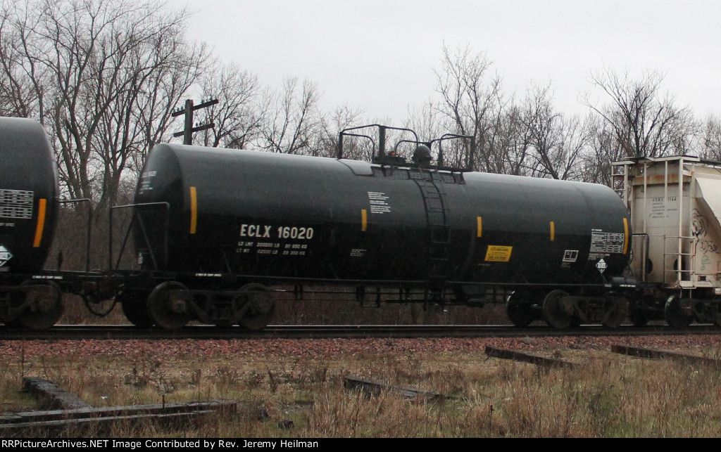 ECLX 16020 (1)