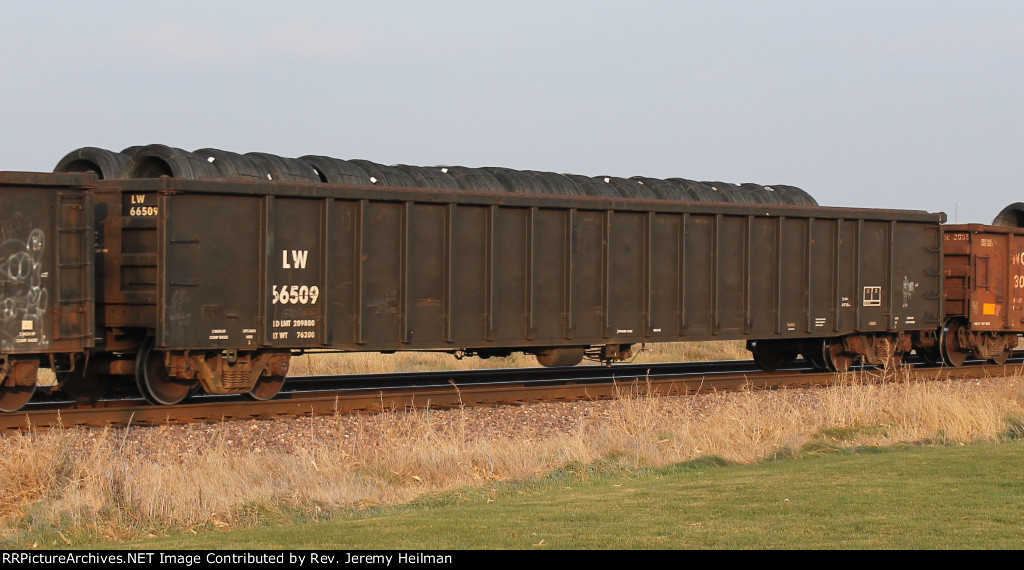 LW 66509 (1)