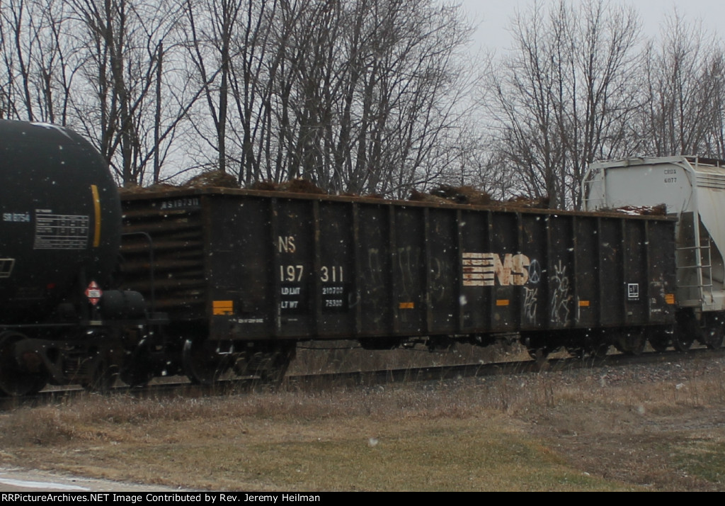 NS 197311 (1)