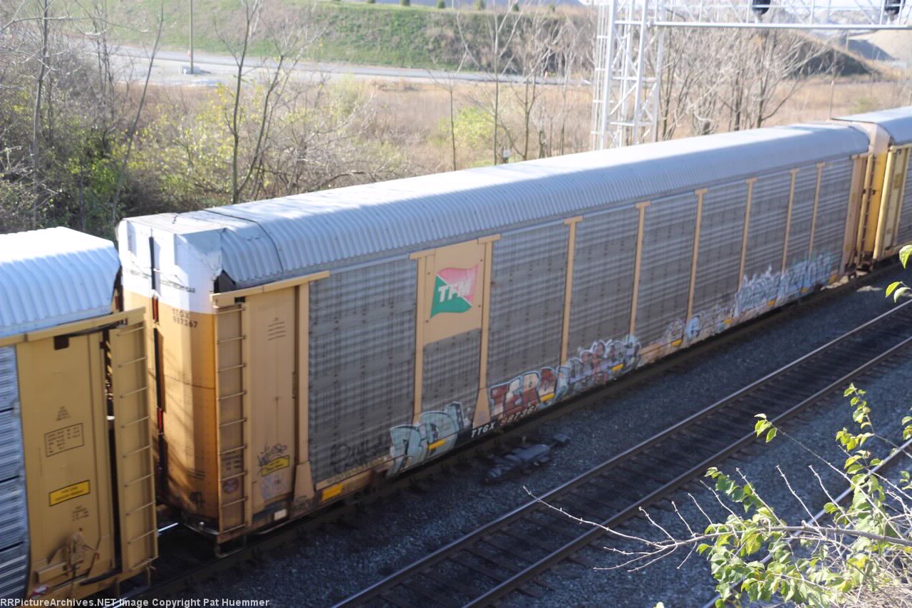 TTGX 987367