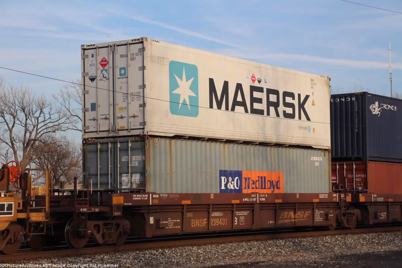 BNSF 239431
