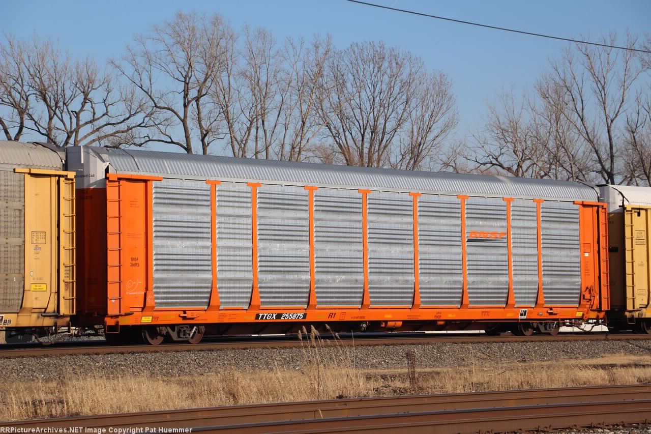 TTGX 255875