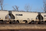 NS 236135