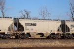 NS 236082