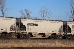 NS 236146