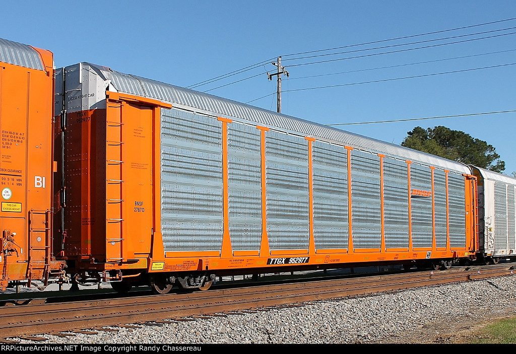 TTGX 952977