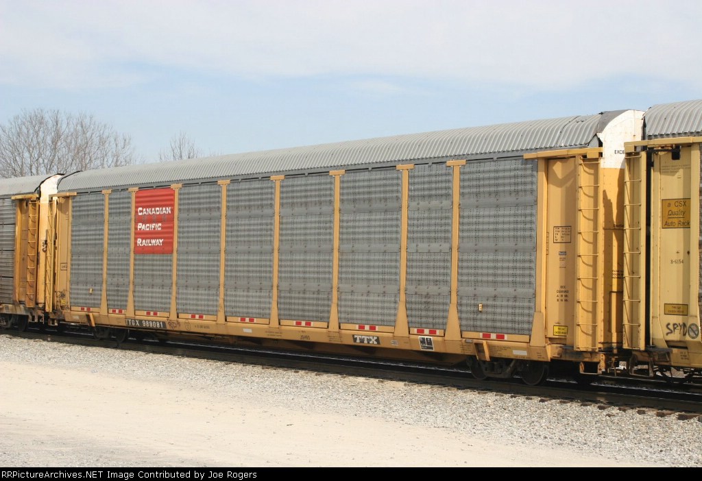 TTGX 989081