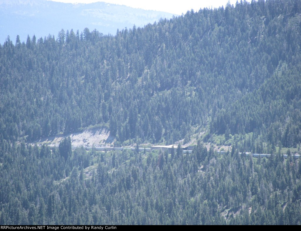 Shed 47 in the distance