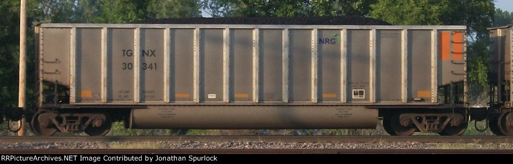 TGNX 30341