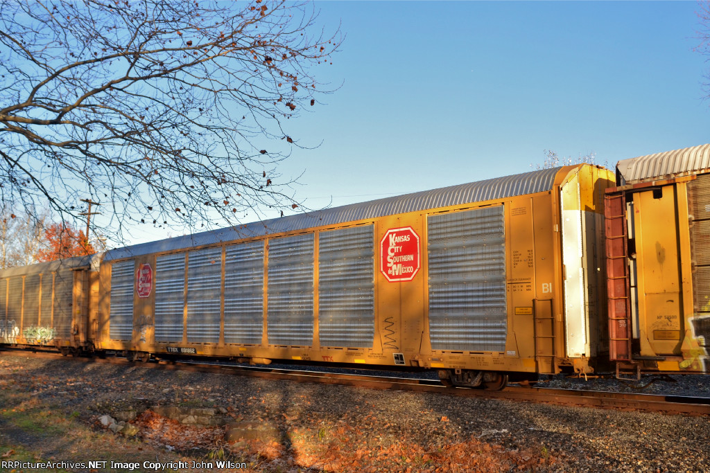 TTGX 691862