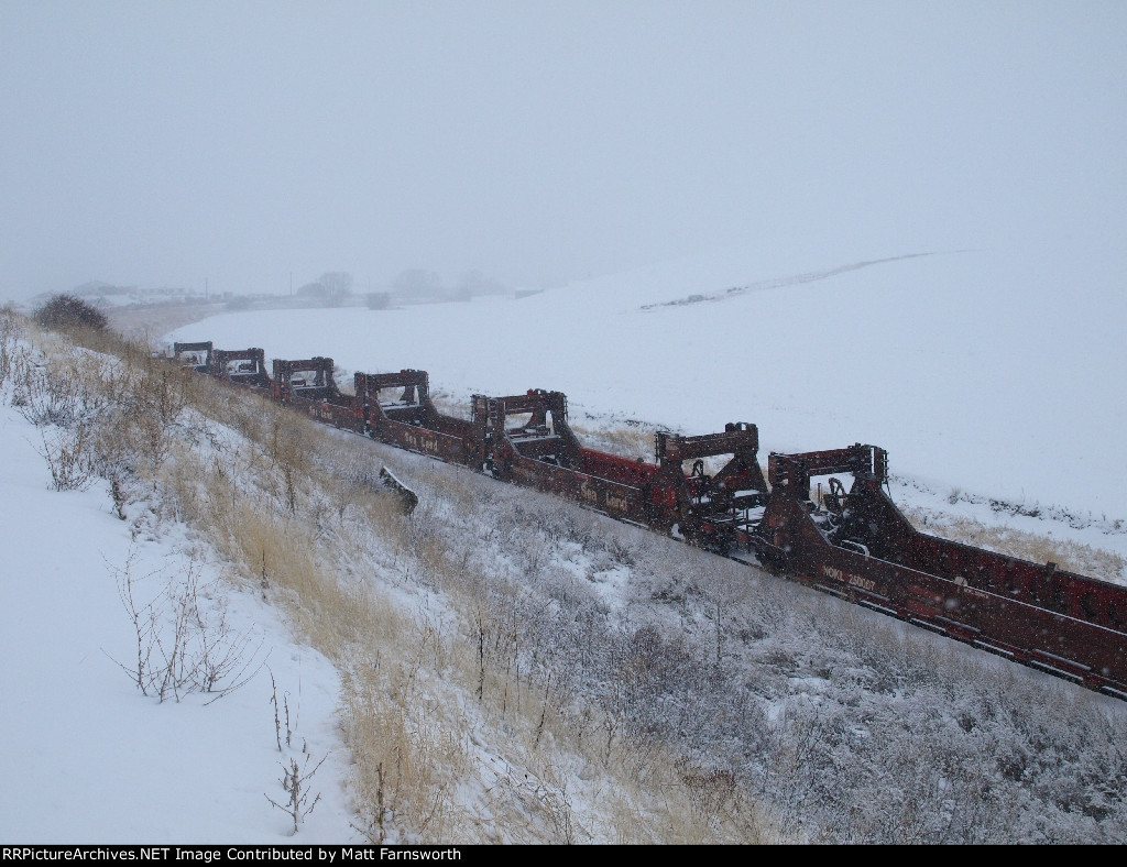 Dinosaurs in this day and age