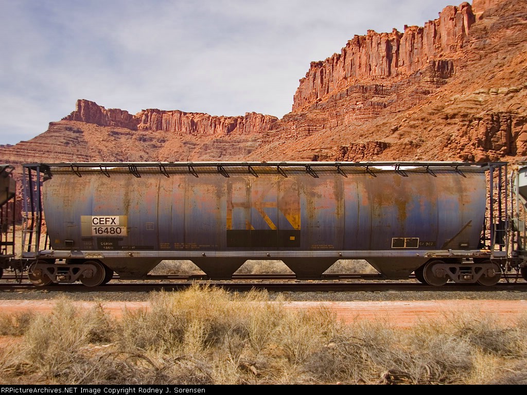 CEFX 16480