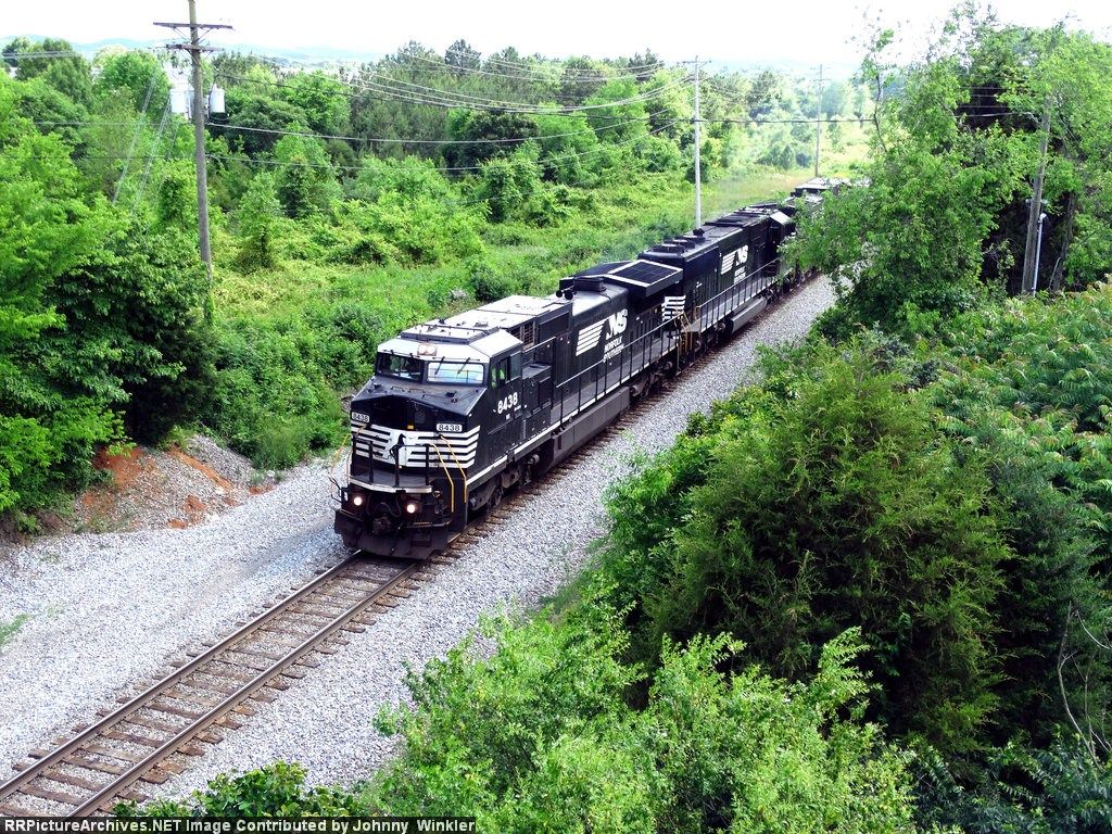 NS 8438 Leads NS 134 Through Alpha