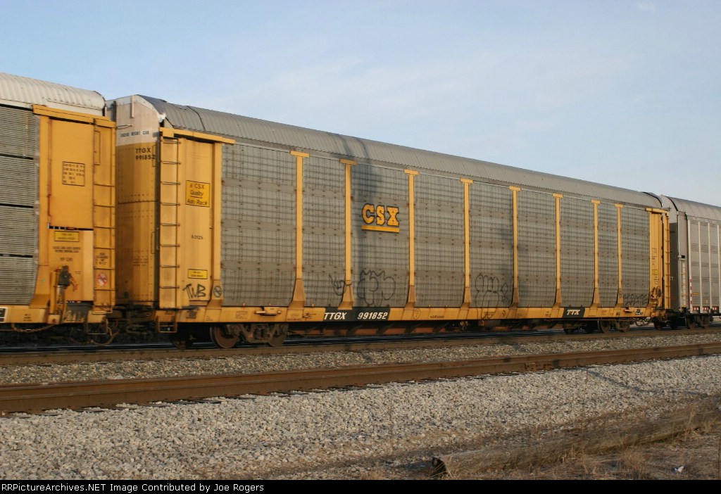 TTGX 991852