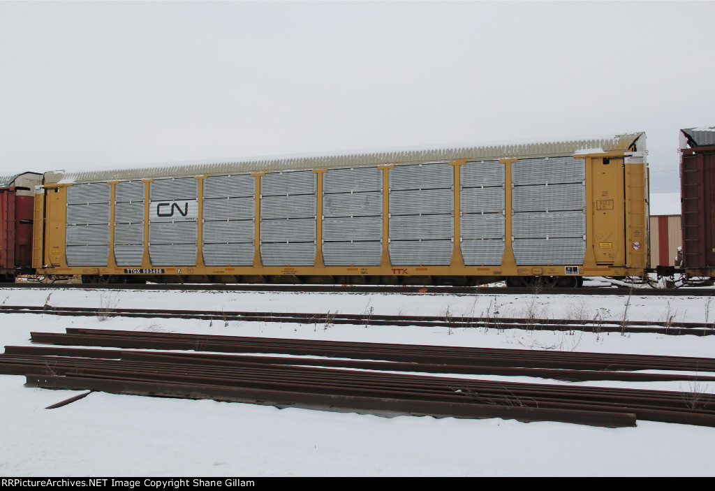TTGX 983496