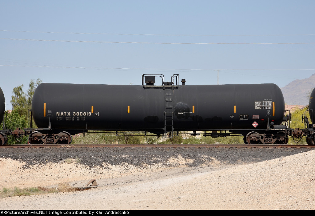 NATX 300819