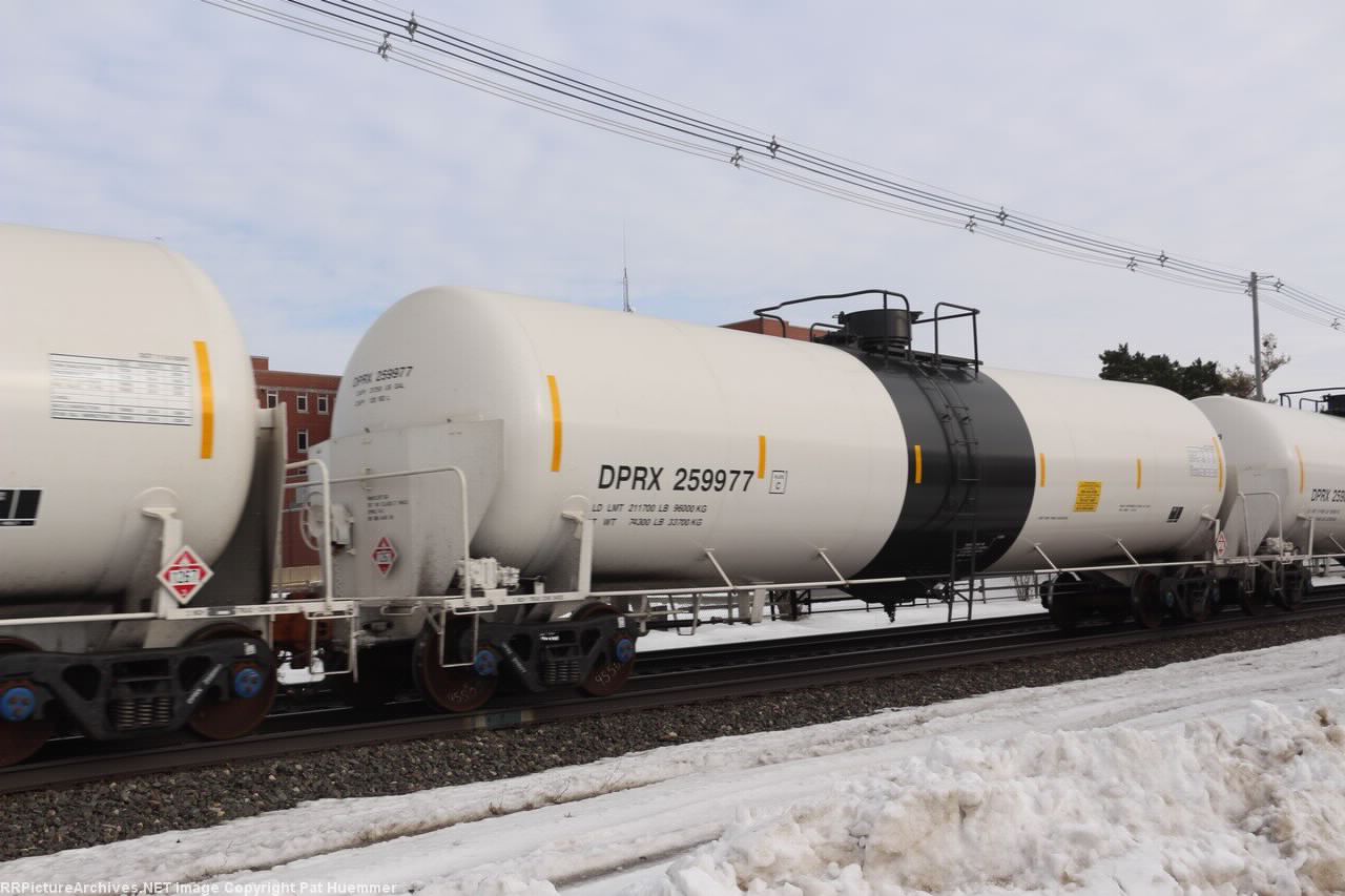 DPRX 259977