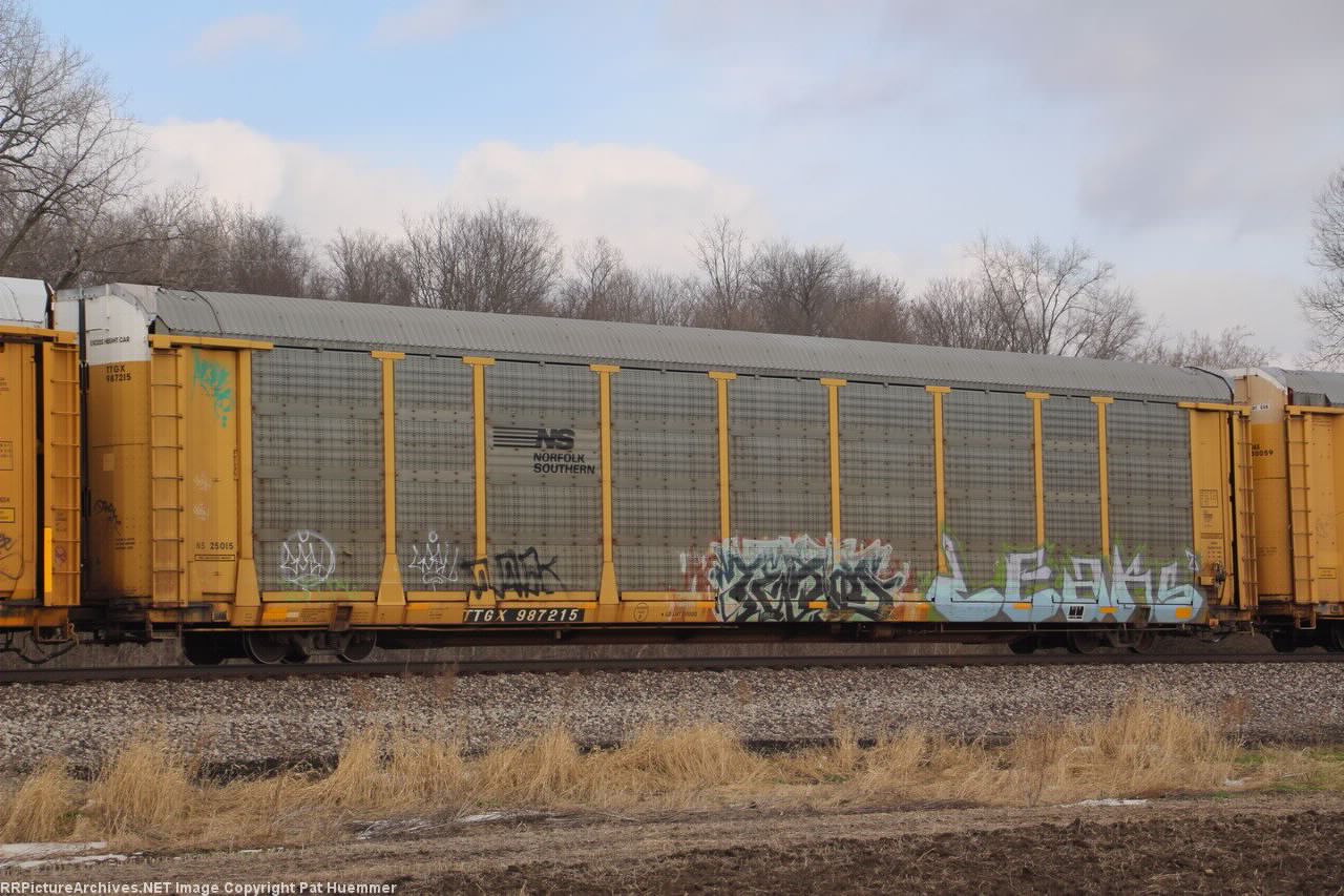 TTGX 987215
