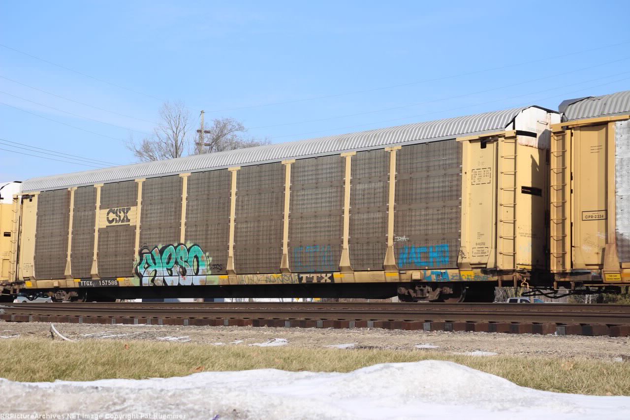 TTGX 157586