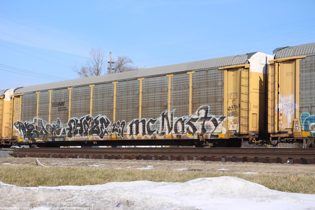 TTGX 985061