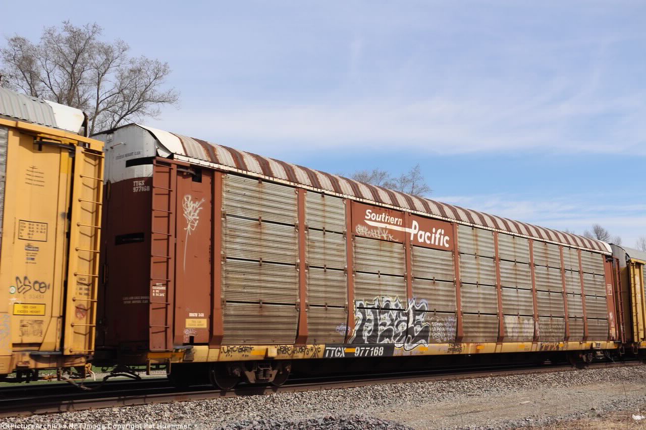 TTGX 977168