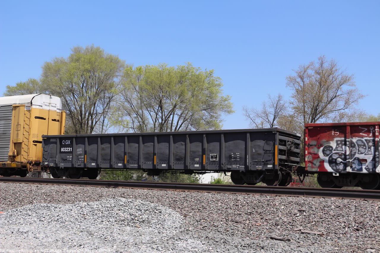 CIGX 803231