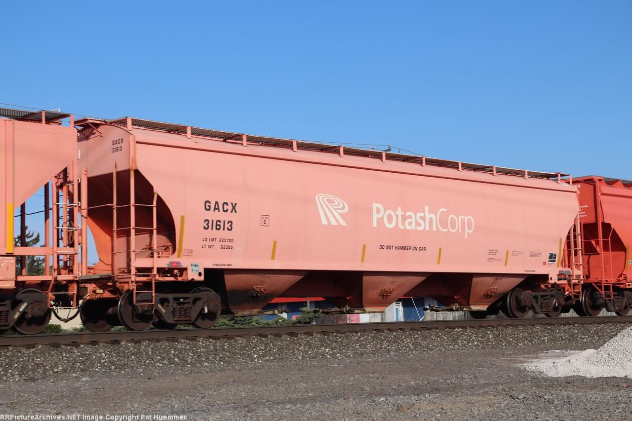 GACX 31613