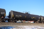 CBTX 717498