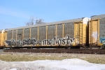 TTGX 985061
