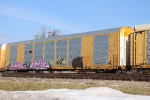 CTTX 690534