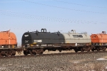 NS 169856
