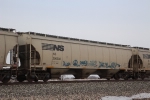 NS 296302