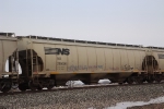 NS 295096