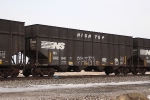 NS 802841