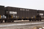NS 802983