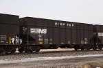 NS 802719