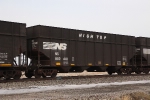 NS 802481