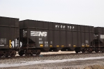 NS 802518