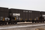 NS 802785