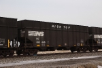 NS 302446