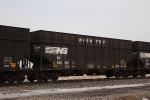 NS 802981