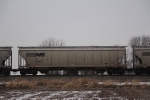 NS 294830