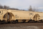 CSX 243319