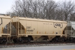 CSX 243483