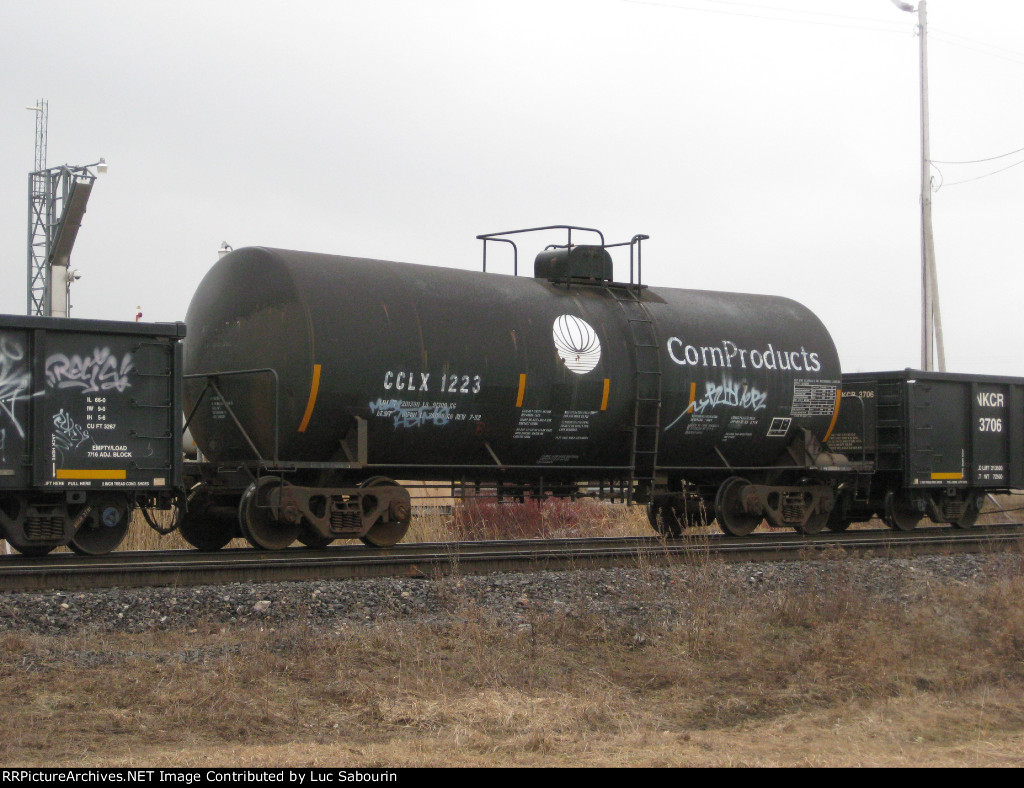 CCLX 1223