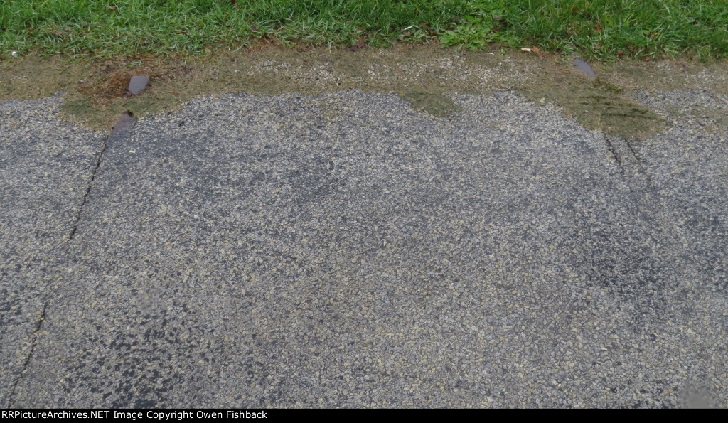 EL Rails Still in the Street