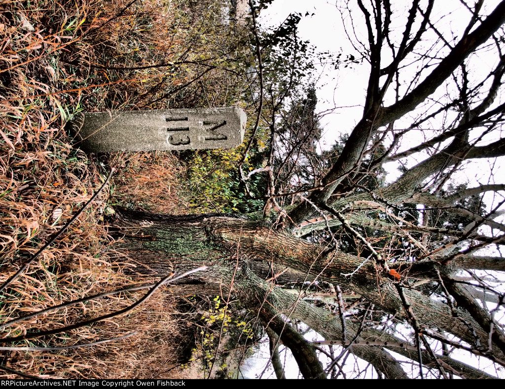 EL Milepost 113