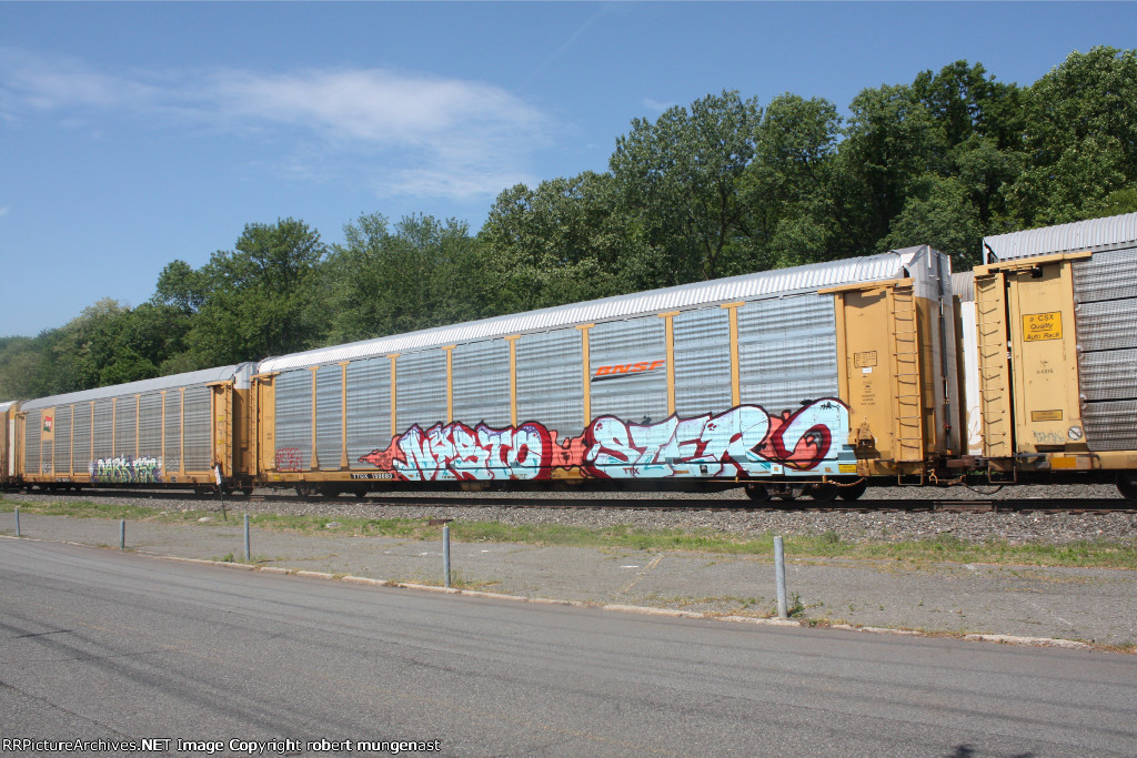 bnsf autorack