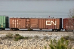 CN 598289