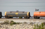 CSX 495209